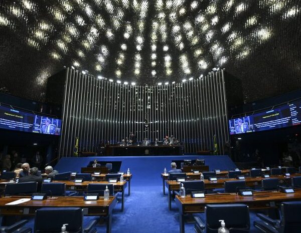 Eleições 2026: maioria dos deputados busca reeleição, com aumento de candidaturas ao Senado